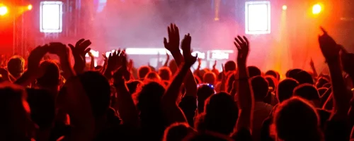 png-transparent-musician-concert